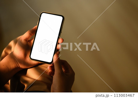 Close up view of woman holding smartphone with empty screen sitting in living room 113003467