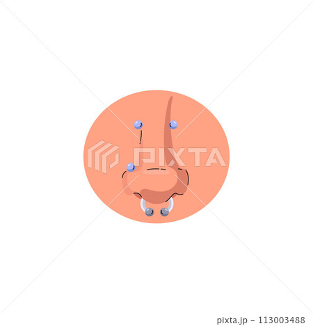 Nose with piercing in a round frame vector illustration. Nose with piercing in a round frame vector illustration. 113003488