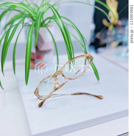 インテリアとしてのメガネ 113003681