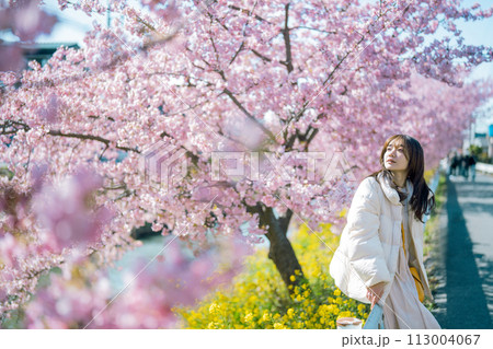河津桜と女性 河津桜と女性 113004067
