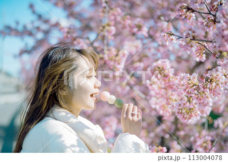 桜の下でお団子を食べる女性 113004078