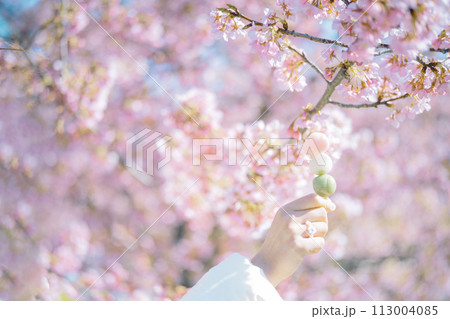 河津桜と三色団子 113004085