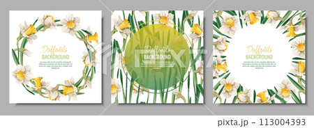 Set of Spring background with daffodils. Postcard, banner for Easter. Spring time. Frame with delicate spring flowers. Set of Spring background with daffodils. Postcard, banner for Easter. Spring time. Frame with delicate spring flowers. 113004393