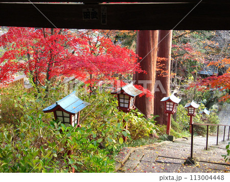 大善寺紅葉2 大善寺紅葉2 113004448