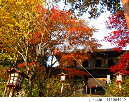 大善寺紅葉1 大善寺紅葉1 113004449