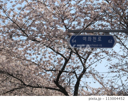 余佐川の桜 113004452