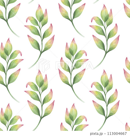 Seamless pattern simple abstract twig with green pink leaves. Beautiful gentle clipart. Hand drawn watercolor illustration background. Botanical design for fabric, textiles, packaging, wallpaper 113004667
