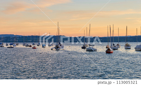 Bodensee Lake Sunset Panorama. Evening Sunlight Over Tranquil Waters. Sunset Vista at Lake Bodensee in Germany. Bodensee Lake Sunset Panorama. Evening Sunlight Over Tranquil Waters. Sunset Vista at Lake Bodensee in Germany. 113005321
