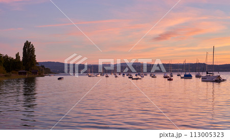 Bodensee Lake Sunrise Panorama. Morning Sunlight Over Tranquil Waters. 113005323