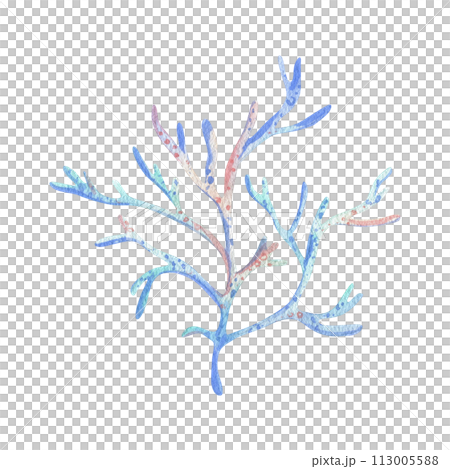 A branch of sea coral with many branches, thin and graceful. Watercolor illustration hand drawn with pastel colors turquoise, blue, mint, coral, peach. Element isolated from background. 113005588