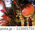 ミラーに映った紅葉 113005750