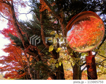 ミラーに映った紅葉 ミラーに映った紅葉 113005750
