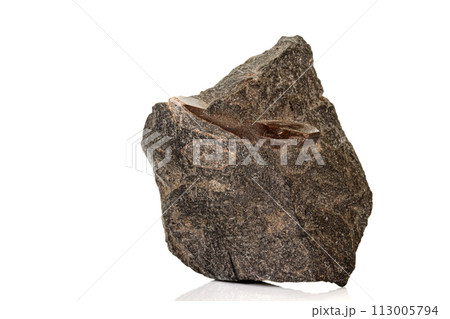 Macro of a mineral stone Vesuvianite on a white background Macro of a mineral stone Vesuvianite on a white background 113005794