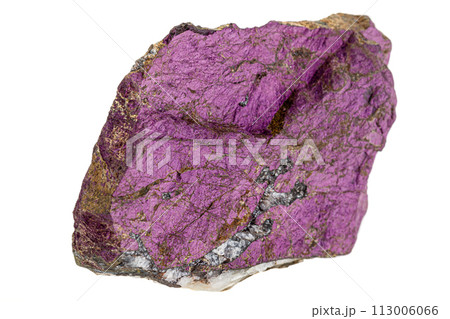 Macro mineral stone purpureus, (purple) purpurite in the breed a white background Macro mineral stone purpureus, (purple) purpurite in the breed a white background 113006066