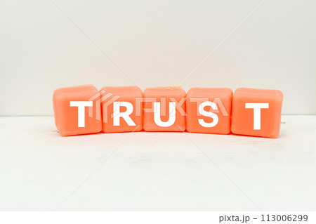 信用や信頼感 TRUSTの文字アイキャッチ 信用や信頼感 TRUSTの文字アイキャッチ 113006299