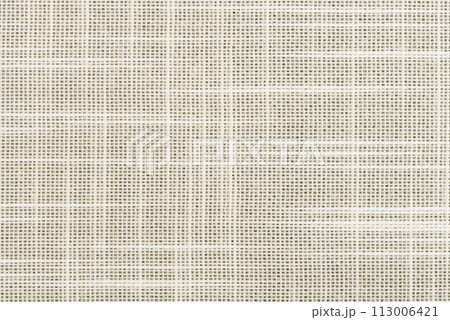 Beige vinyl texture 113006421