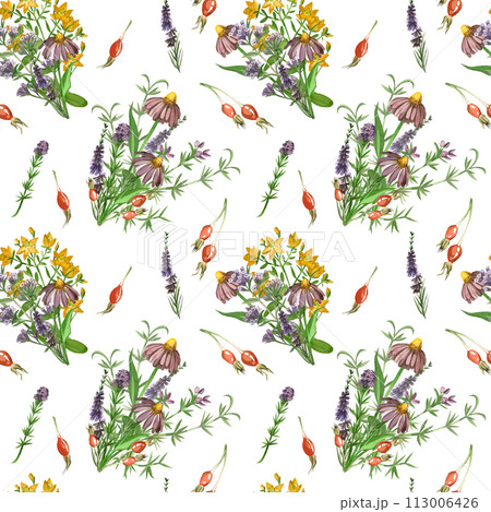 Meadow grasses and flowers. Seamless pattern of echinacea, lungwort, rosehip, flower bouquets. All elements are hand-painted in watercolor on a white background. For printing on fabric and paper. 113006426