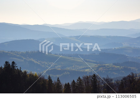Morning fog in a mountain valley area 113006505