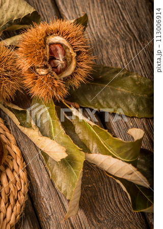 Roasted chestnuts and leaves 113006914