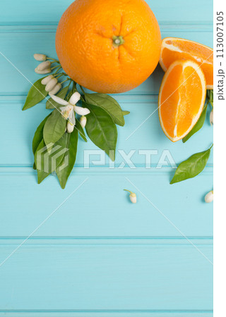 Citrus fresh fruits 113007105