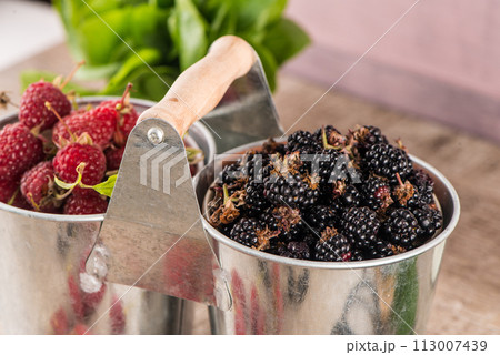 Metal buckets with fresh berries Metal buckets with fresh berries 113007439