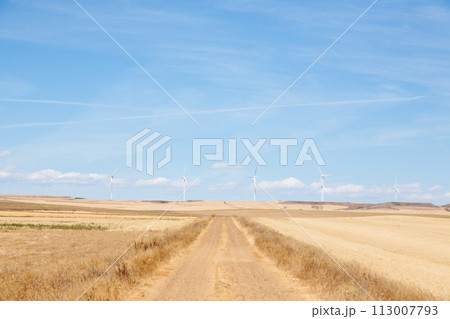 Castile and Leon region rural landscape, Spain 113007793