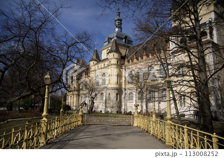 BUDAPEST, HUNGARY - 04 MAR 2019: The famous Vajdahunyad Castle in the City Park of Budapest viewed from a bridge BUDAPEST, HUNGARY - 04 MAR 2019: The famous Vajdahunyad Castle in the City Park of Budapest viewed from a bridge 113008252