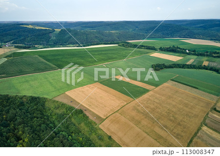 Aerial landscape view of green and yellow cultivated agricultural fields with growing crops on bright summer day 113008347