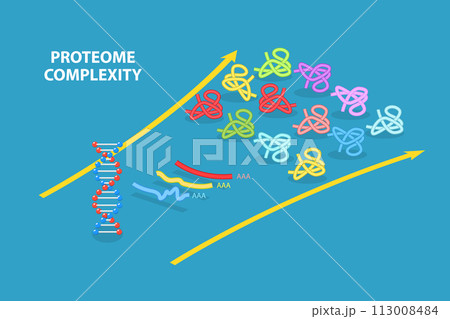 3D Isometric Flat Vector Illustration of Proteome Complexity, Proteins Studying 113008484