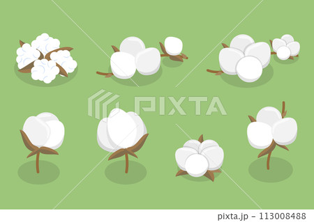 3D Isometric Flat Vector Illustration of Cotton Flower Collection, Pure and Organic Product 3D Isometric Flat Vector Illustration of Cotton Flower Collection, Pure and Organic Product 113008488