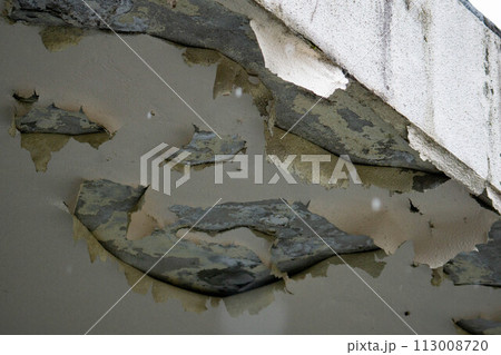 塗装の剝がれてきた天井 塗装の剝がれてきた天井 113008720
