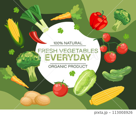 Design template with fresh vegetables, natural products, organic food. Illustration, poster, vegetable background banner. Vector 113008926