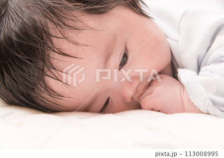 【指しゃぶりする赤ちゃん　うつぶせ】 113008995