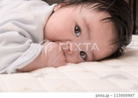 【指しゃぶりする赤ちゃん　うつぶせ】 113008997