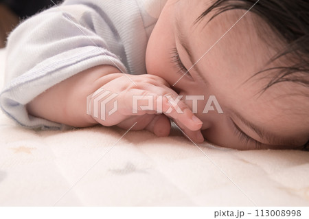【指しゃぶりする赤ちゃん　うつぶせ】 113008998