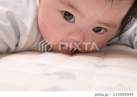 【うつぶせで顔を上げる赤ちゃん】 113008999