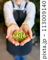 Close-up of young woman holding green flower 113009140