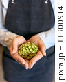 Close-up of young woman holding green flower 113009141