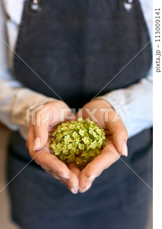 Close-up of young woman holding green flower 113009141