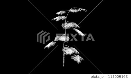 3D Branch with leaves on black background. Spring concept. Plant with petals. Business advertising backdrop. For title, text, presentation. 3d animation 113009168