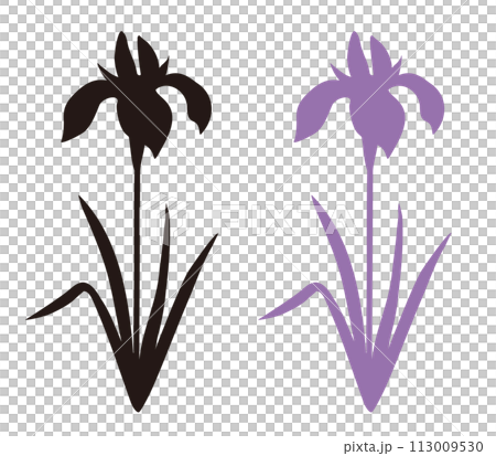 Kakitsubata silhouette illustration Kakitsubata silhouette illustration 113009530