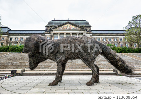 Dresden, Germany - May 16, 2023 Dresden, Germany - May 16, 2023 113009654