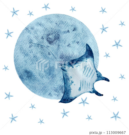 Watercolor hand-drawn manta ray, starfish and a moon composition isolated on white 113009667