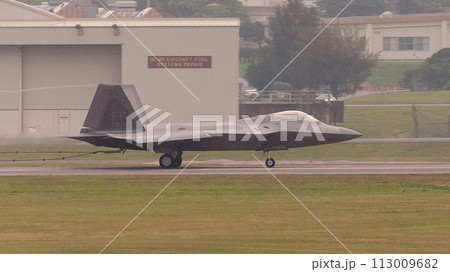 フックランディングするアメリカ空軍F-22ラプター 113009682