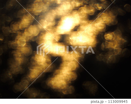 木漏れ日のイメージ 木漏れ日のイメージ 113009945