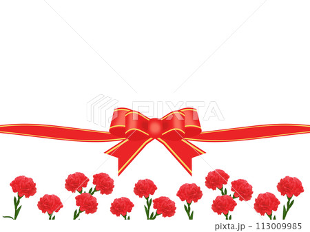 母の日の背景素材 113009985