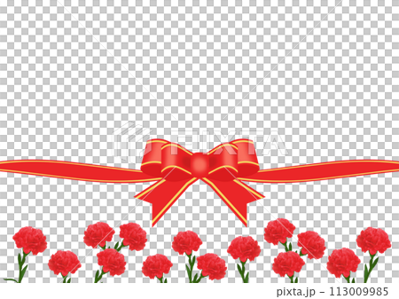 母の日の背景素材 113009985