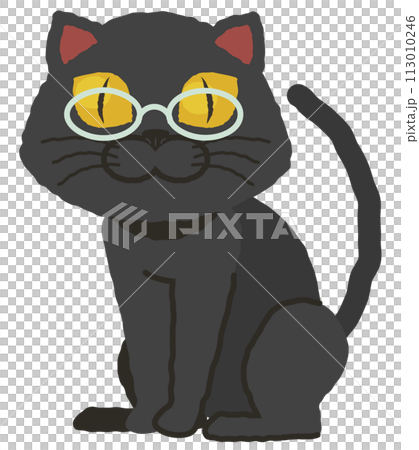 戴眼鏡的黑貓 113010246