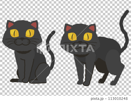 黒猫@ 【イラストオーダー】 黒猫ちゃん：イラスト無料