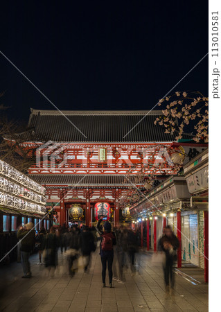 「東京都」夜の浅草寺・仲見世通りから宝蔵門を望む 「東京都」夜の浅草寺・仲見世通りから宝蔵門を望む 113010581